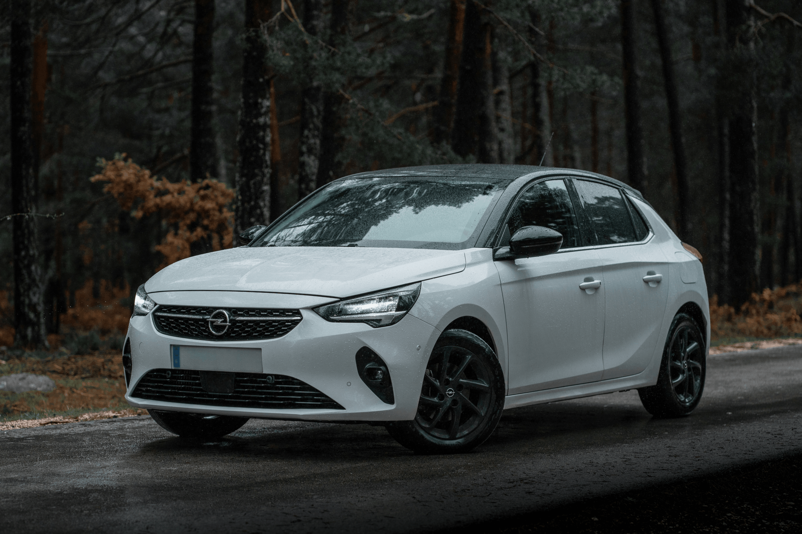 Hvid Opel Corsa parkeret ved en skov.