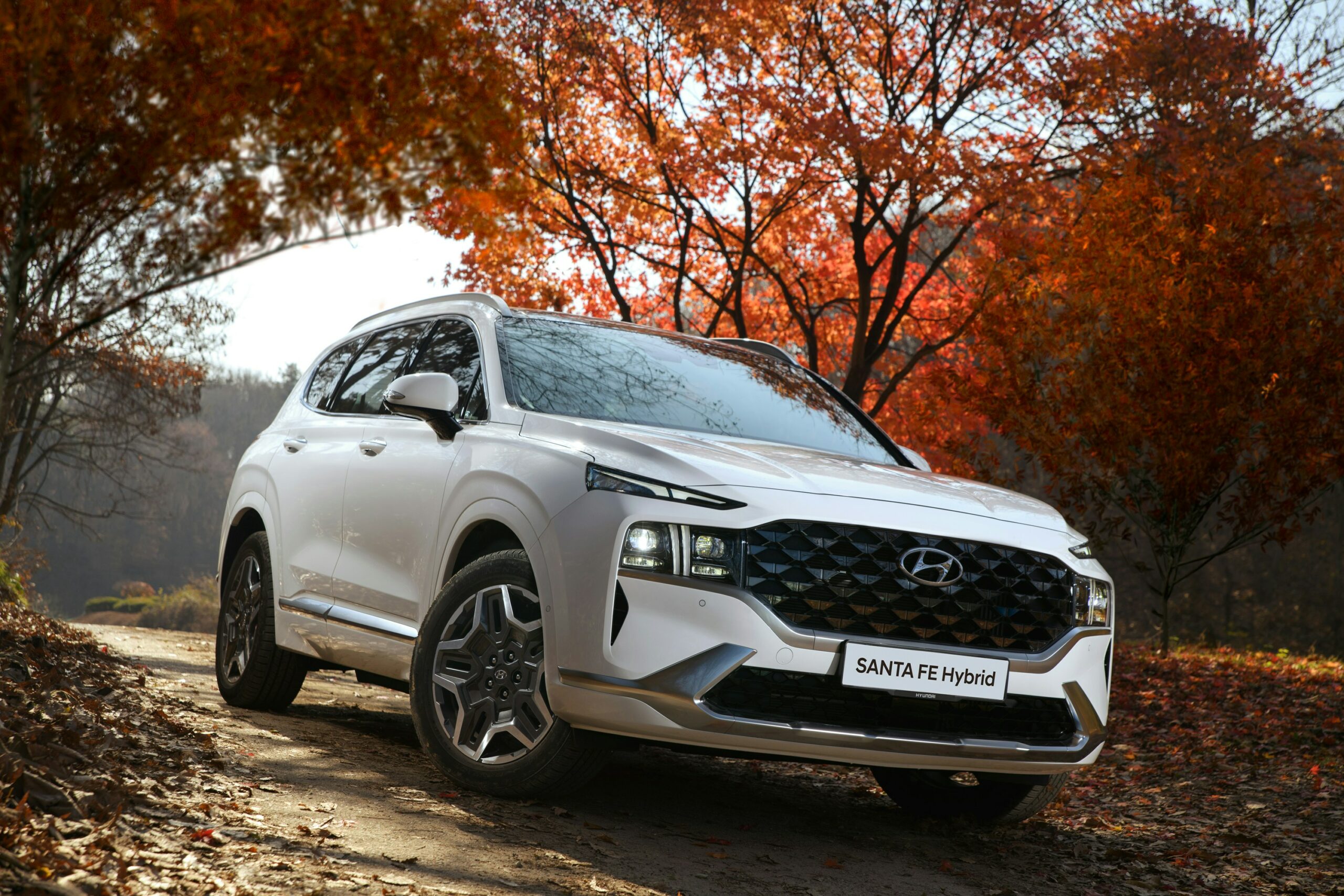 Hvid Hyundai Santa Fe Hybrid i efterårsskov