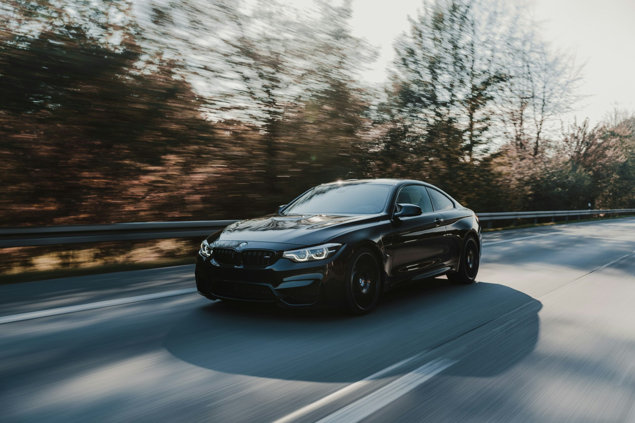 Sort BMW coupé på en vej omgivet af skov.